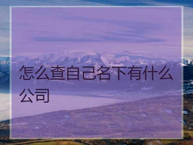 怎么查自己名下有什么公司