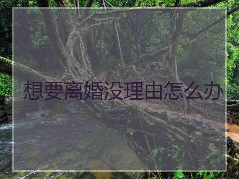 想要离婚没理由怎么办