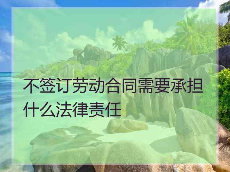 不签订劳动合同需要承担什么法律责任