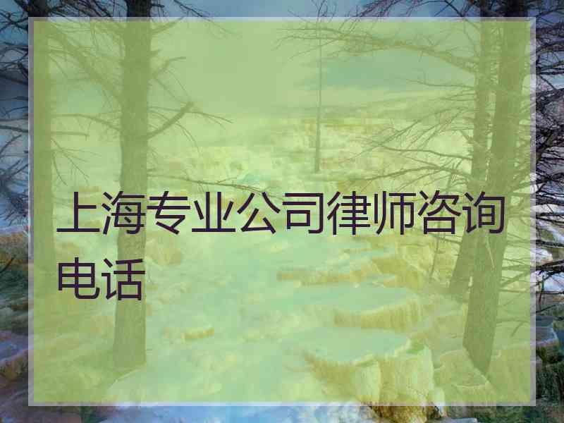 上海专业公司律师咨询电话