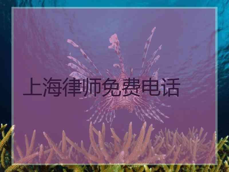 上海律师免费电话