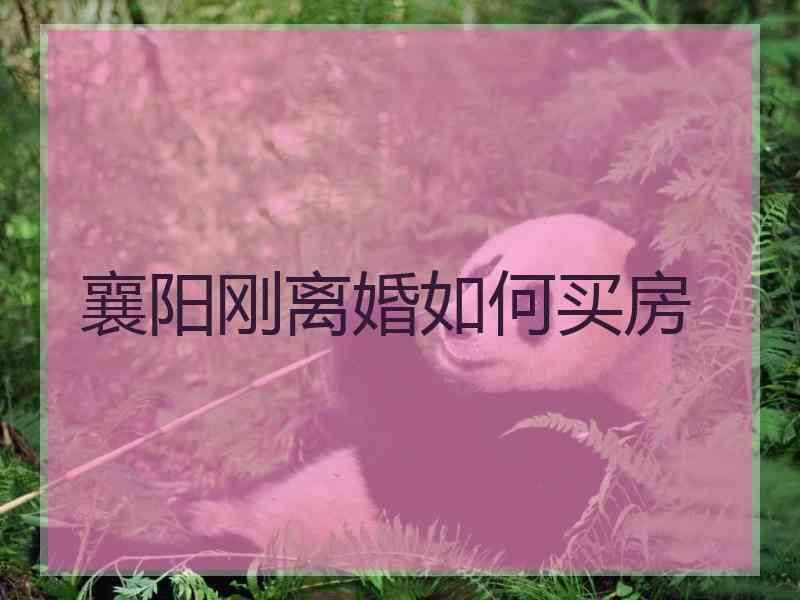 襄阳刚离婚如何买房