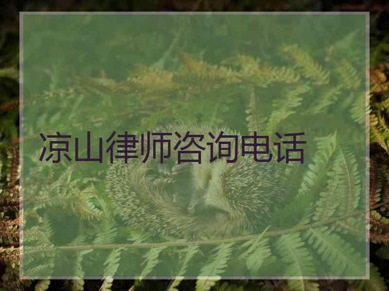 凉山律师咨询电话