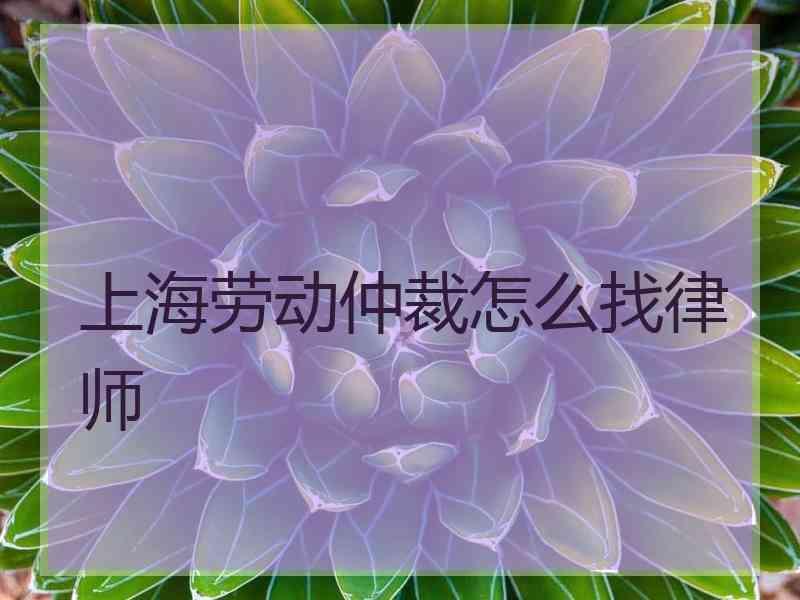 上海劳动仲裁怎么找律师