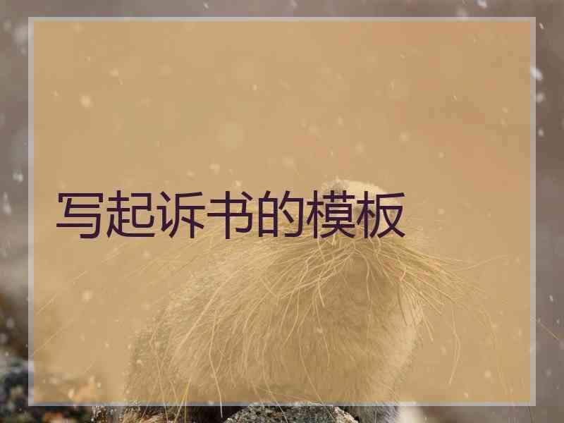 写起诉书的模板