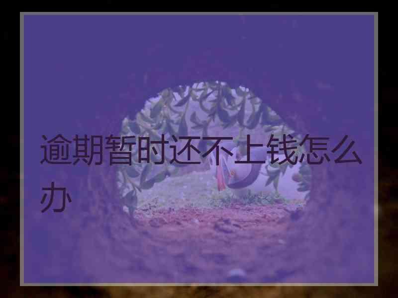 逾期暂时还不上钱怎么办