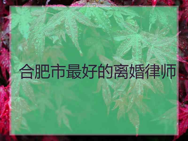 合肥市最好的离婚律师