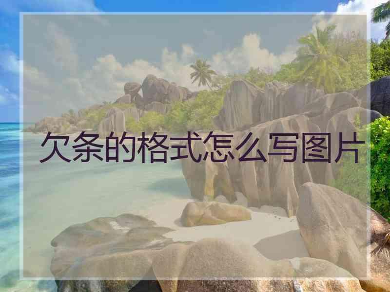 欠条的格式怎么写图片