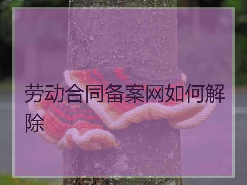 劳动合同备案网如何解除