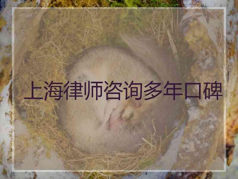 上海律师咨询多年口碑