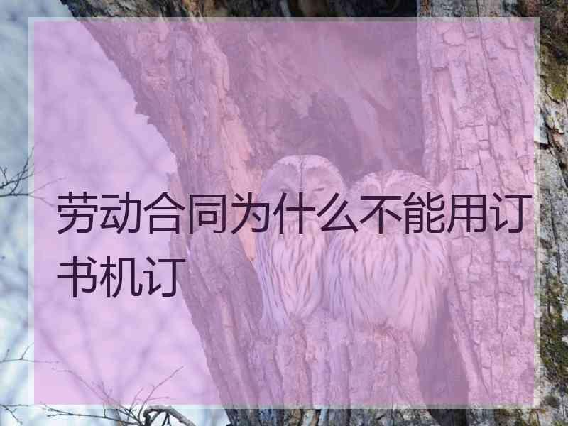 劳动合同为什么不能用订书机订