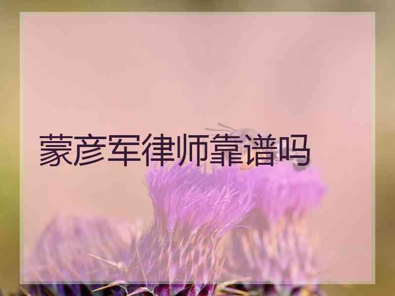 蒙彦军律师靠谱吗