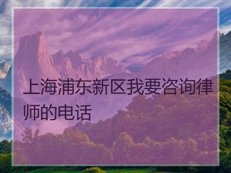 上海浦东新区我要咨询律师的电话