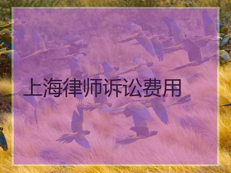 上海律师诉讼费用