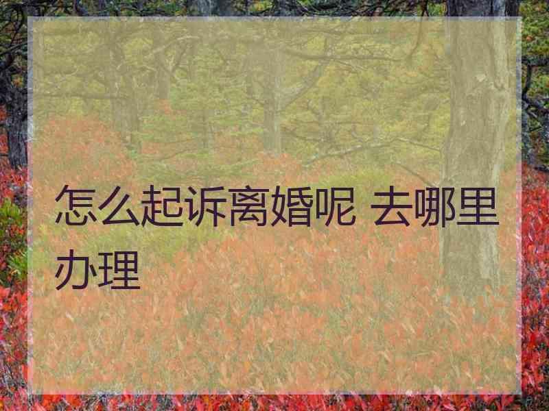 怎么起诉离婚呢 去哪里办理