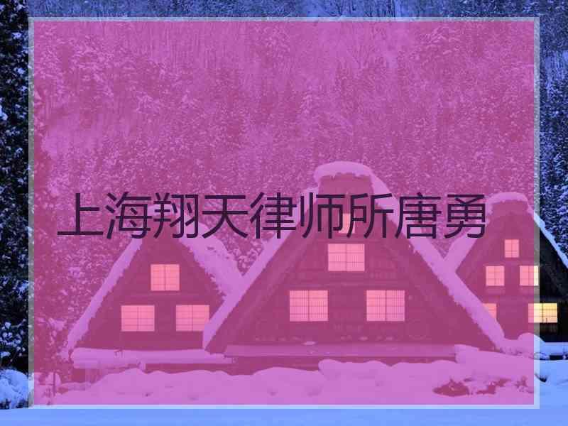 上海翔天律师所唐勇