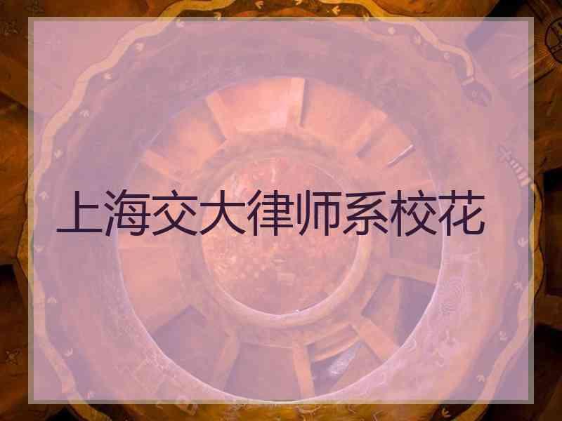 上海交大律师系校花