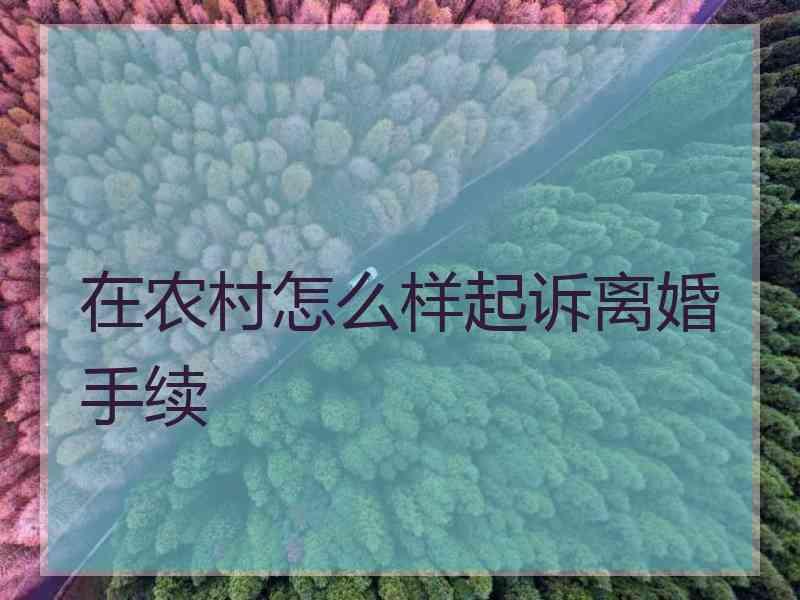 在农村怎么样起诉离婚手续