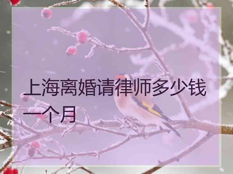 上海离婚请律师多少钱一个月