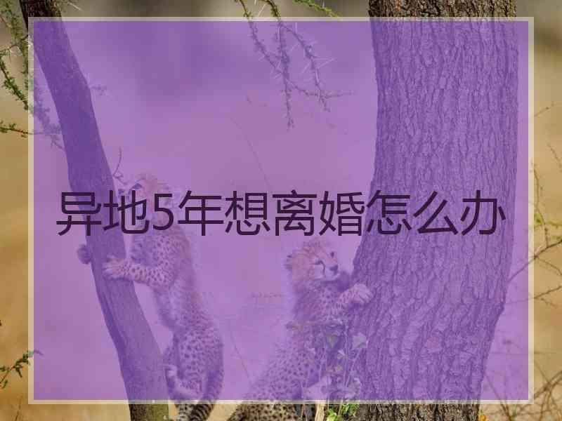 异地5年想离婚怎么办