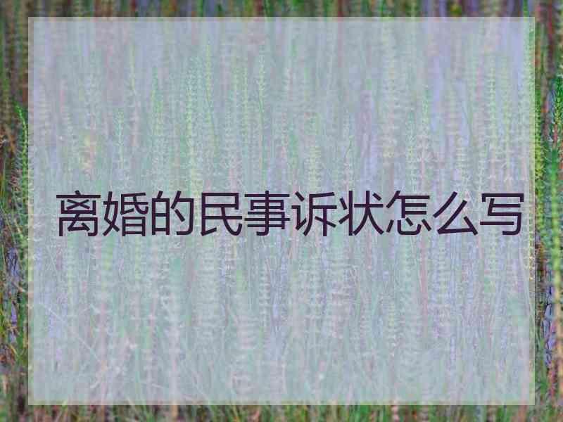 离婚的民事诉状怎么写