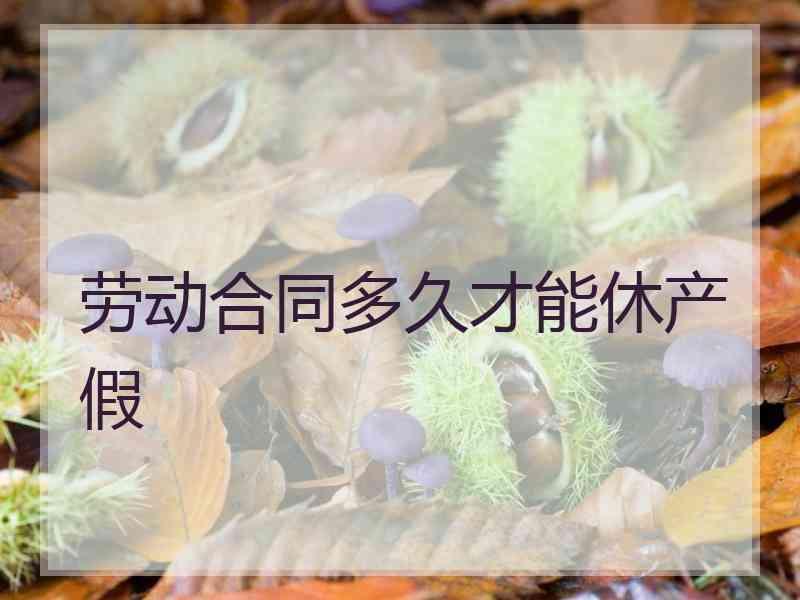 劳动合同多久才能休产假