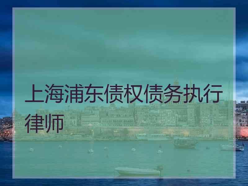 上海浦东债权债务执行律师
