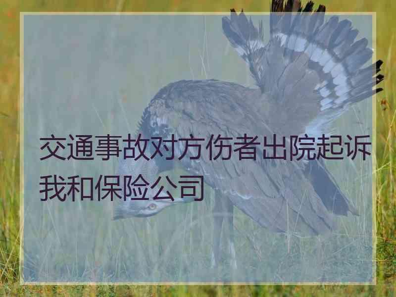 交通事故对方伤者出院起诉我和保险公司