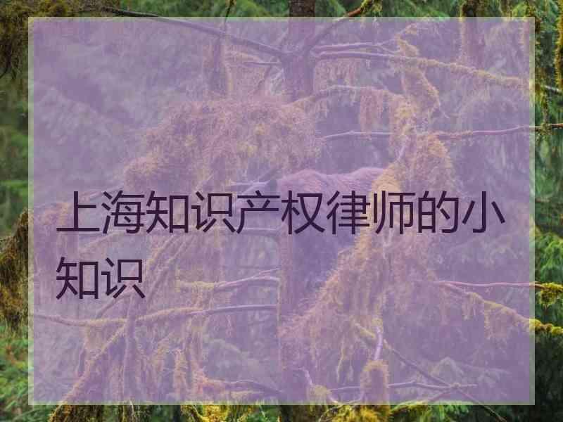 上海知识产权律师的小知识