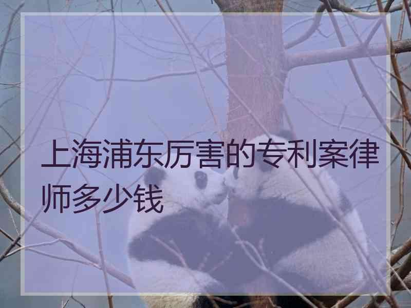 上海浦东厉害的专利案律师多少钱