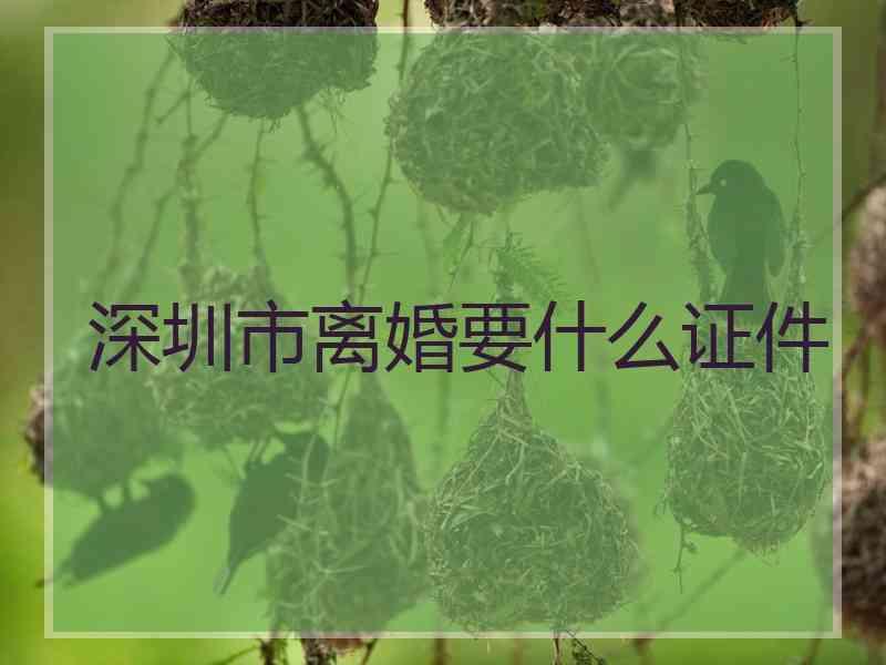 深圳市离婚要什么证件