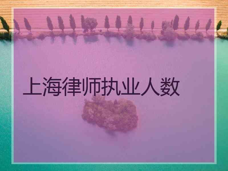 上海律师执业人数