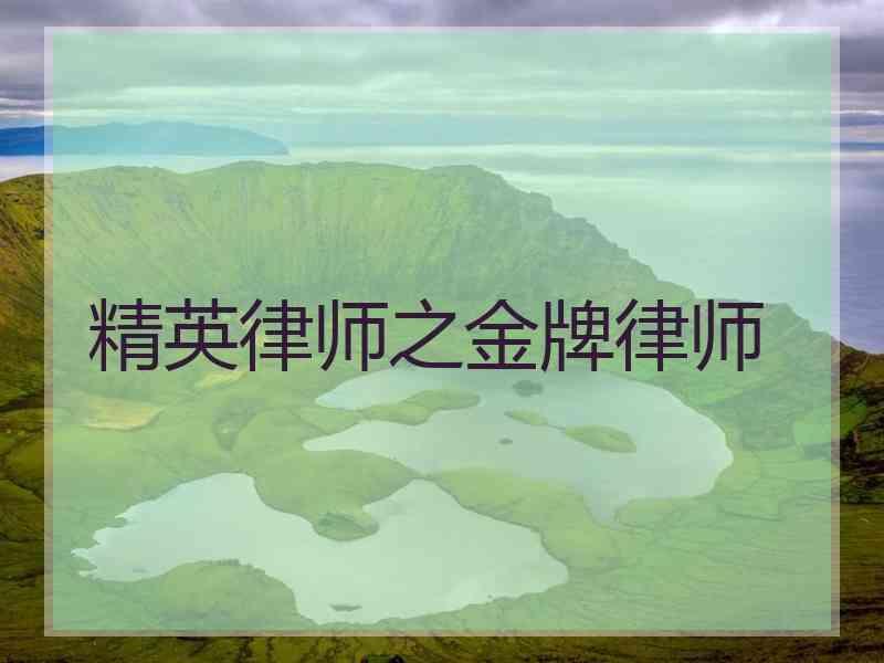 精英律师之金牌律师