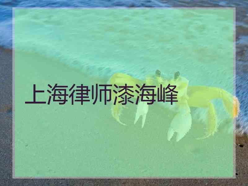 上海律师漆海峰