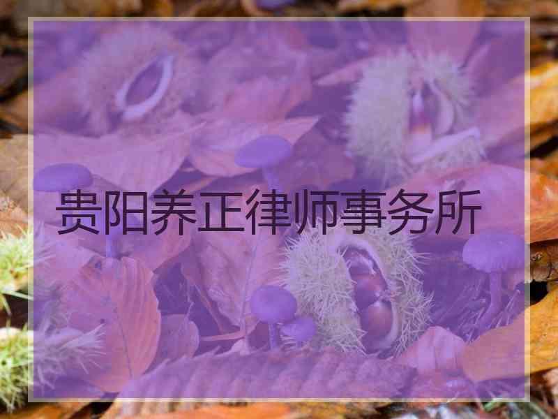 贵阳养正律师事务所