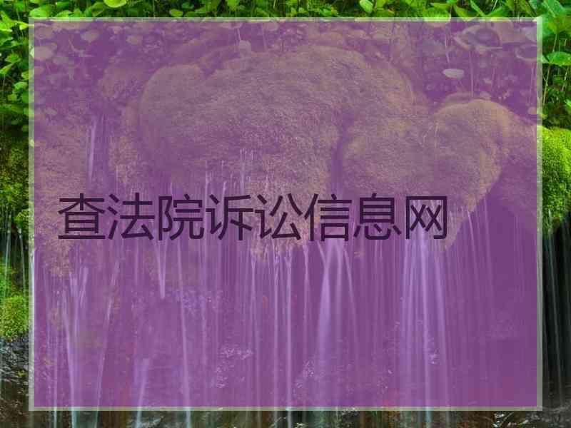 查法院诉讼信息网