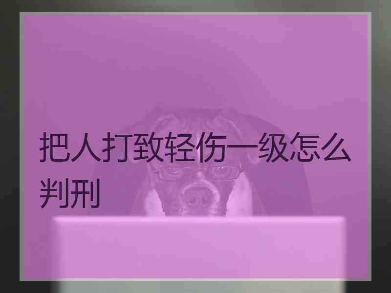 把人打致轻伤一级怎么判刑