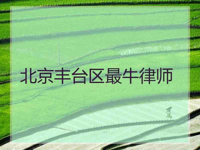 北京丰台区最牛律师
