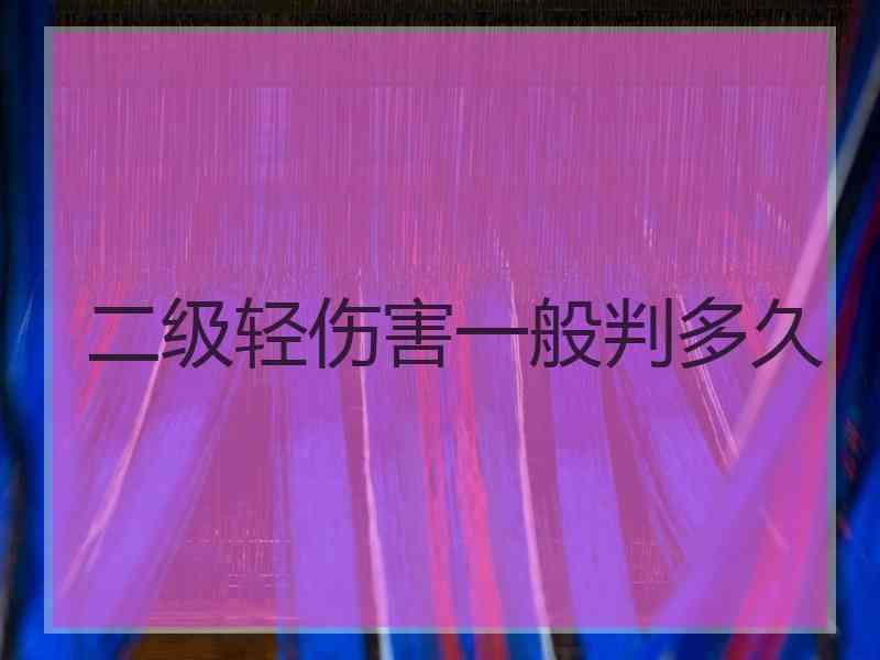 二级轻伤害一般判多久