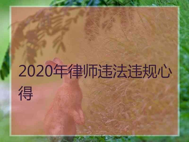 2020年律师违法违规心得