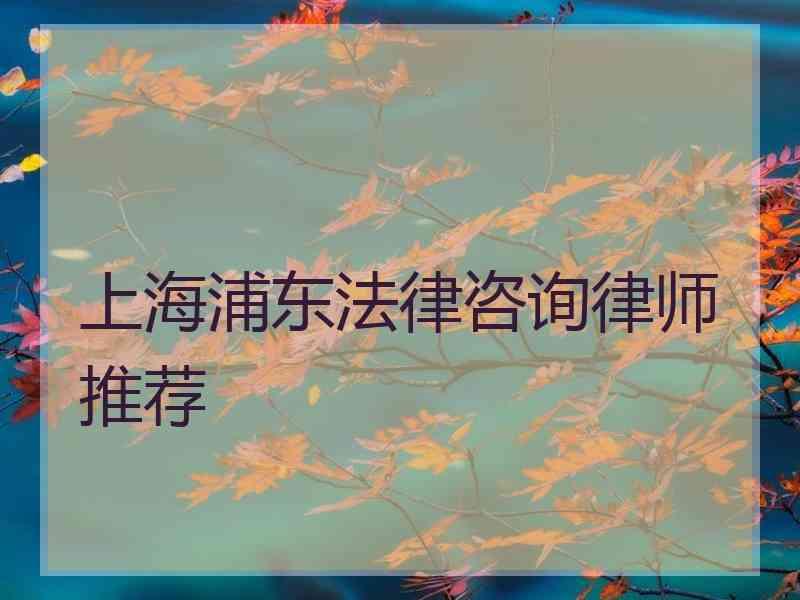 上海浦东法律咨询律师推荐