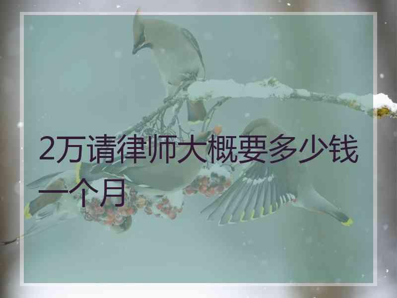 2万请律师大概要多少钱一个月