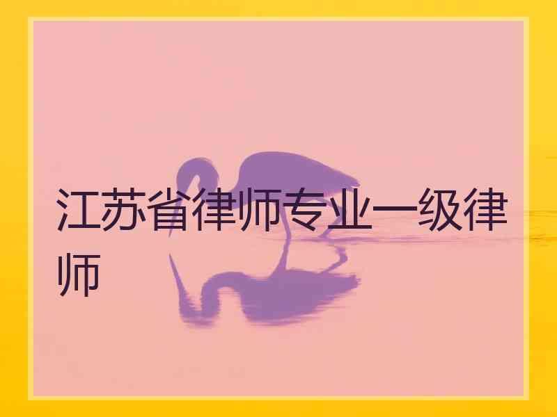 江苏省律师专业一级律师