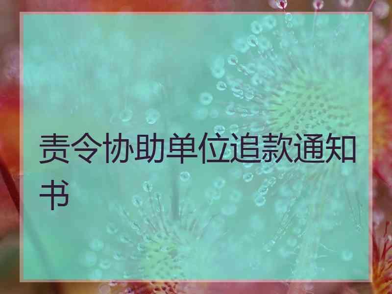 责令协助单位追款通知书