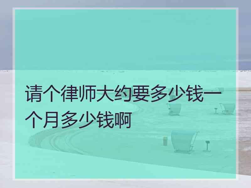 请个律师大约要多少钱一个月多少钱啊