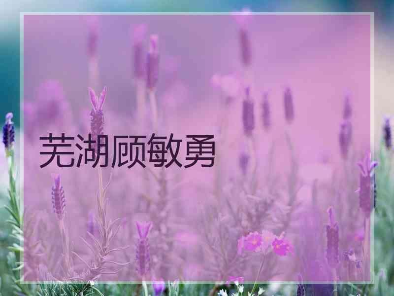 芜湖顾敏勇