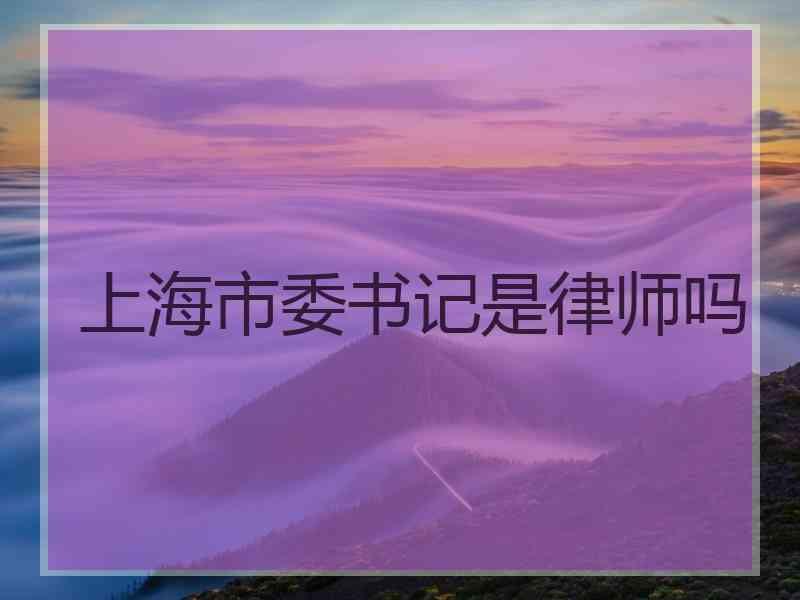 上海市委书记是律师吗