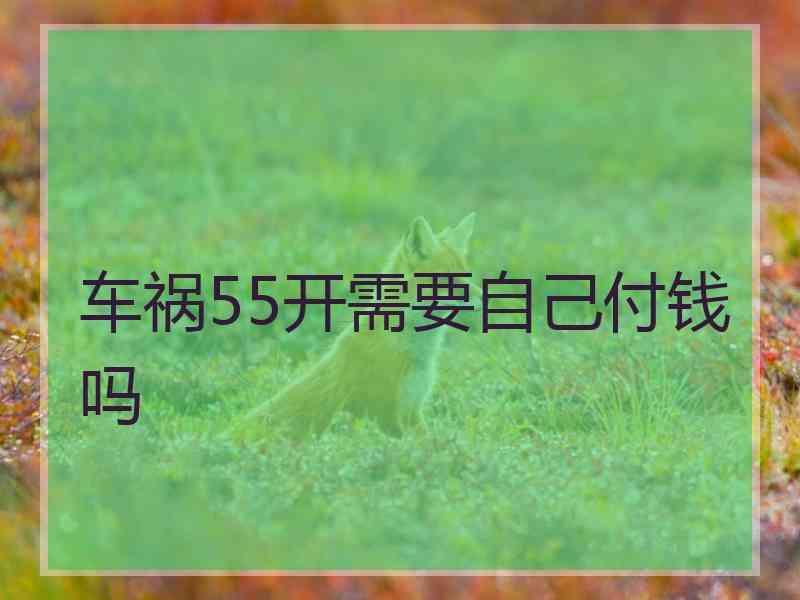 车祸55开需要自己付钱吗