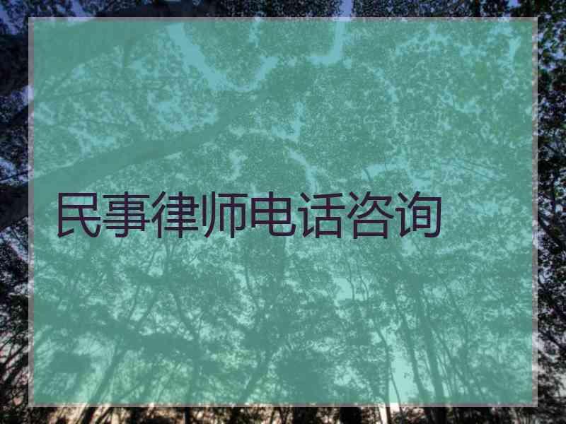 民事律师电话咨询