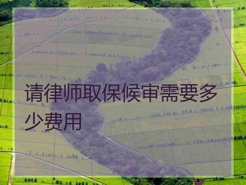 请律师取保候审需要多少费用